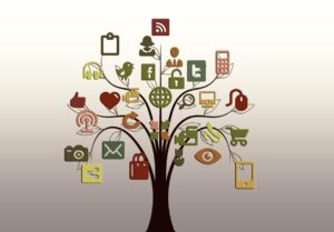 Read more about the article Social Media Platforms Directed to Remove Obscene Content: Legal Basis and Implications